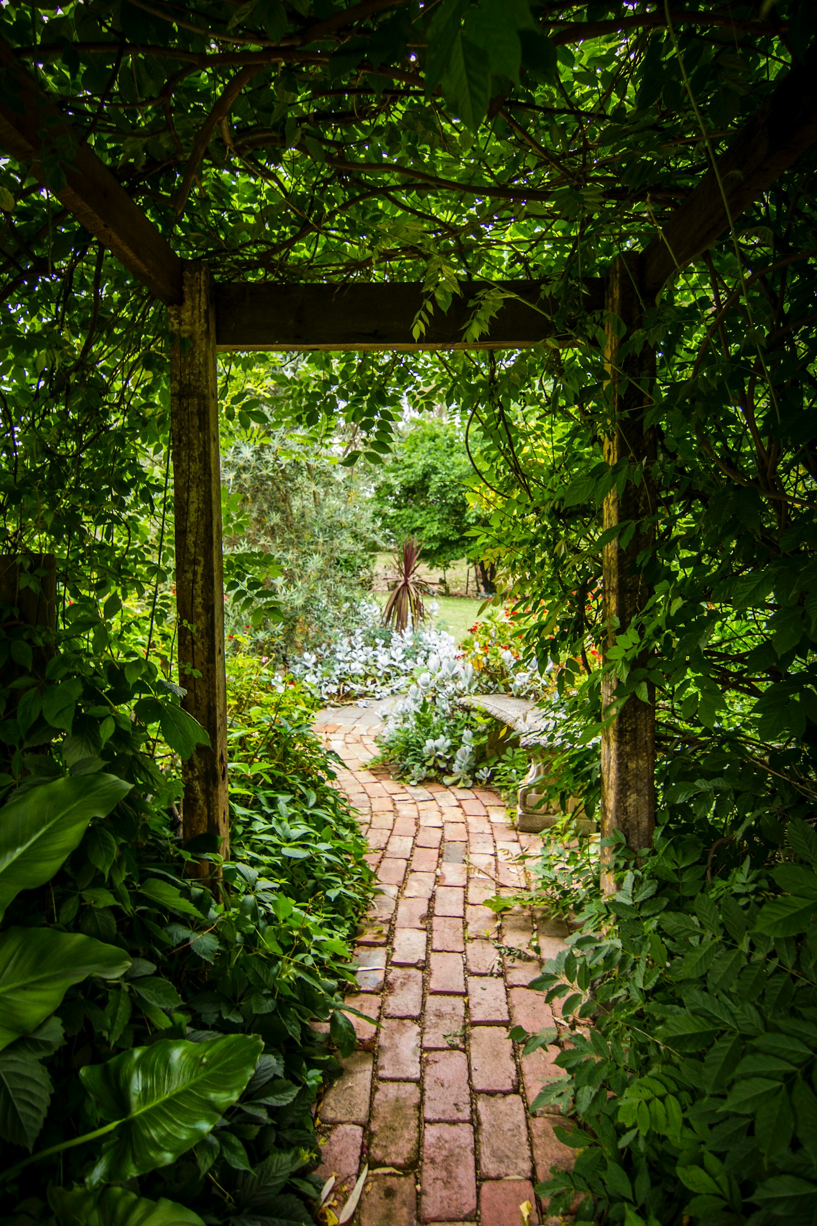 A garden path winding through lush greenery. Photo by [Tim Cooper](https://unsplash.com/@tcooper86) on Unsplash.